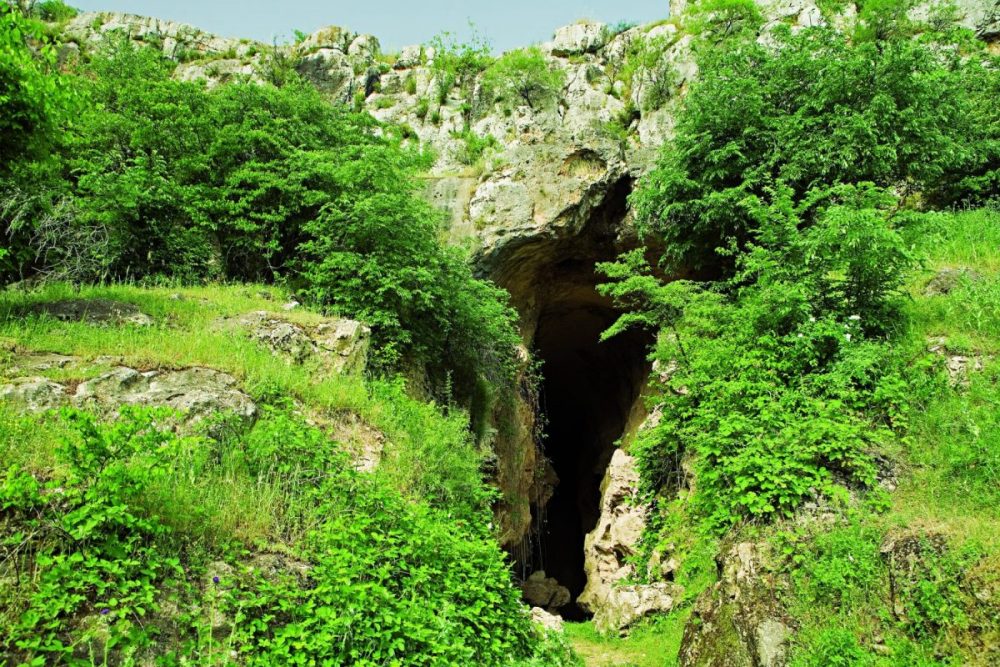 دی ان ای یک دندان 7 هزار ساله کشف شده در غار آزوخ،آرتساخ کاملا با ارمنیان امروزی مطابقت دارد.